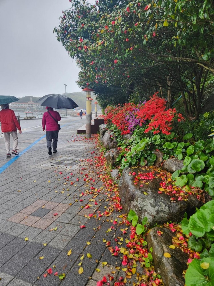 9ab7e937f6580382961697861dcfe020_1745303